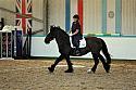 Novice2023