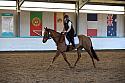 Novice2029