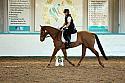 Novice2032