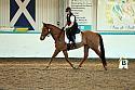 Novice2033