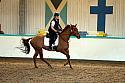 Novice2040