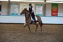 Novice2046