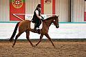 Novice2049