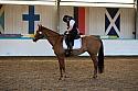 Novice2064