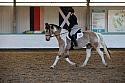 Novice2070