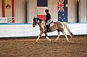 Novice2071