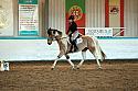 Novice2073