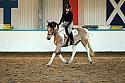 Novice2077