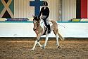 Novice2078