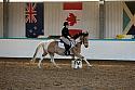 Novice2079