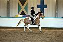 Novice2081