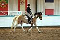 Novice2083