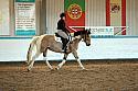 Novice2086