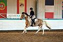 Novice2090