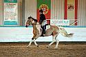 Novice2091