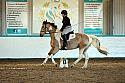 Novice2092
