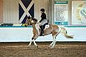 Novice2093