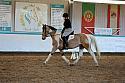 Novice2097