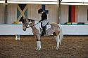 Novice2102