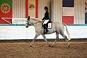 Novice2106