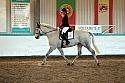 Novice2107