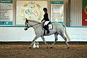 Novice2108