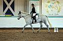 Novice2109