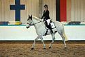 Novice2111