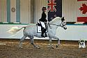 Novice2113