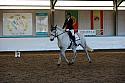 Novice2121