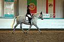 Novice2126