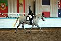 Novice2127