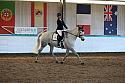 Novice2131