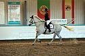 Novice2135