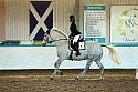 Novice2137