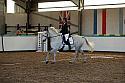 Novice2139