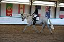 Novice2141