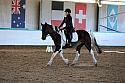 Novice2145