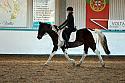 Novice2147