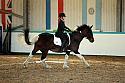 Novice2153