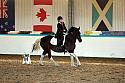 Novice2156