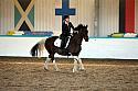 Novice2158