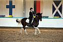 Novice2159