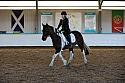 Novice2165
