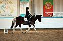 Novice2167