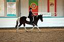 Novice2173
