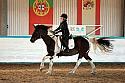 Novice2177