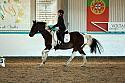 Novice2178