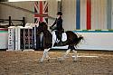 Novice2181