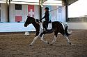 Novice2182